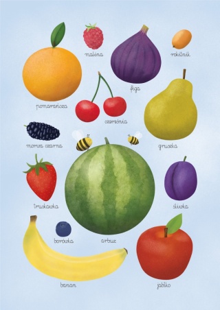 Plakat Owoce A3