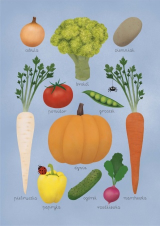 Plakat Warzywa